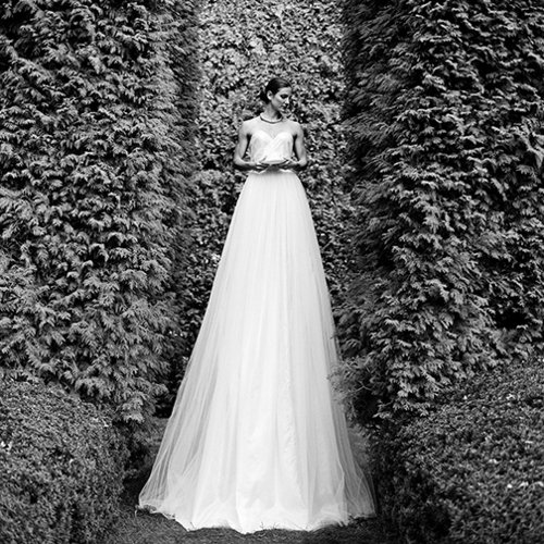 Rodney Smith tweet media