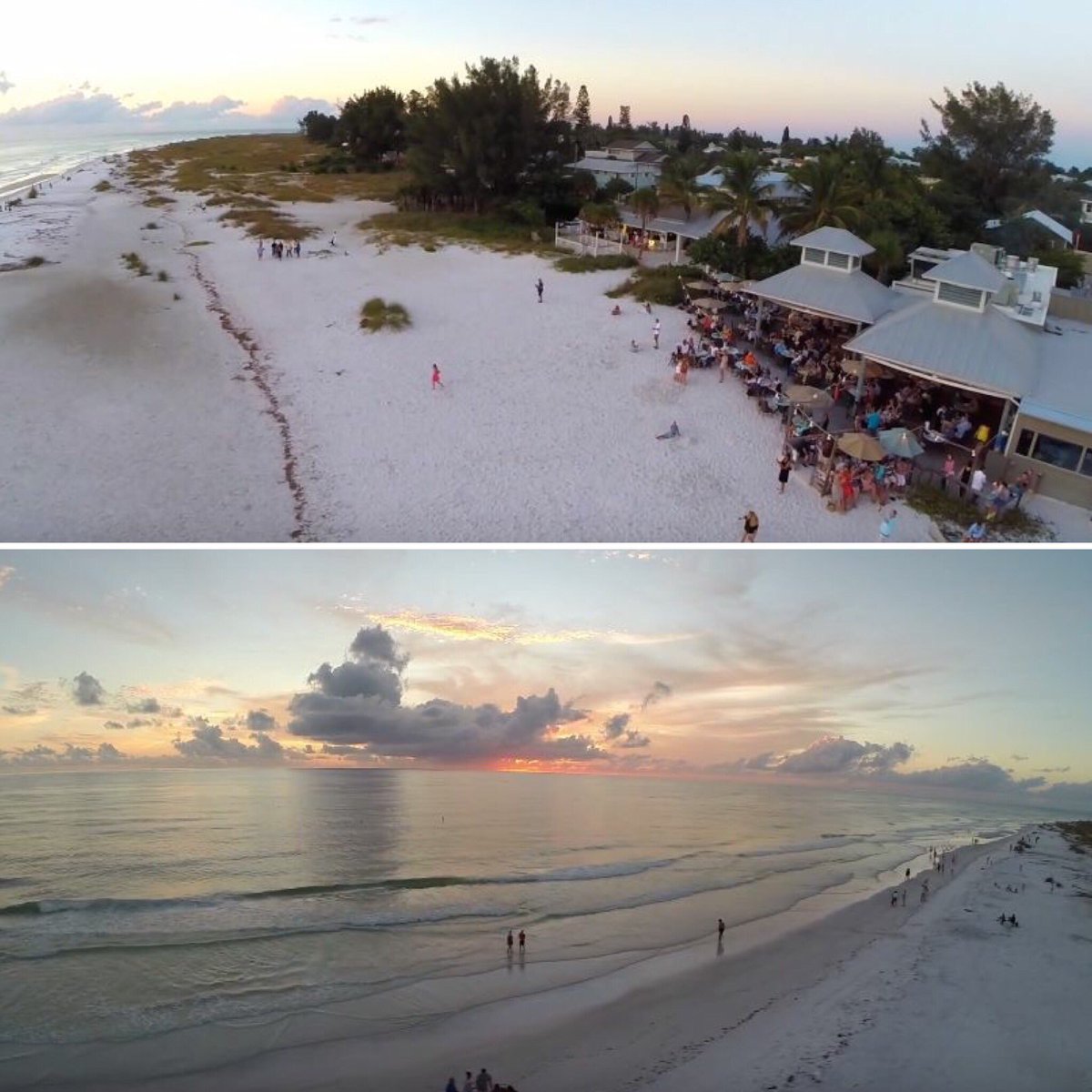 Pineapplefish (PineapplefishFl) Twitter