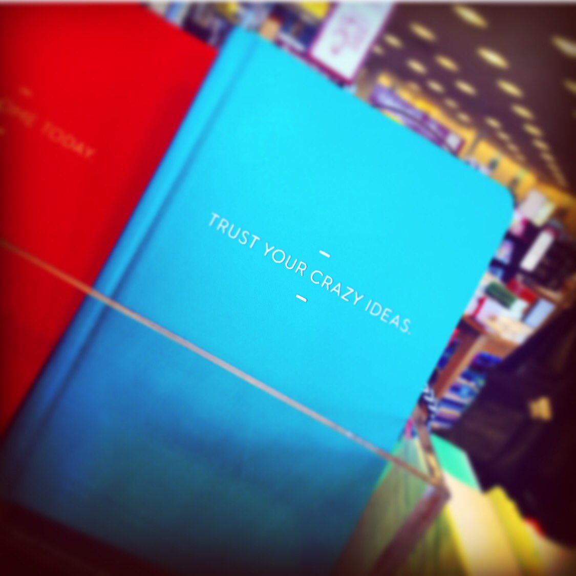 To all my #entrepreneurs remember to #trustyourcrazyideas only fear makes you think they're crazy #truth 💙