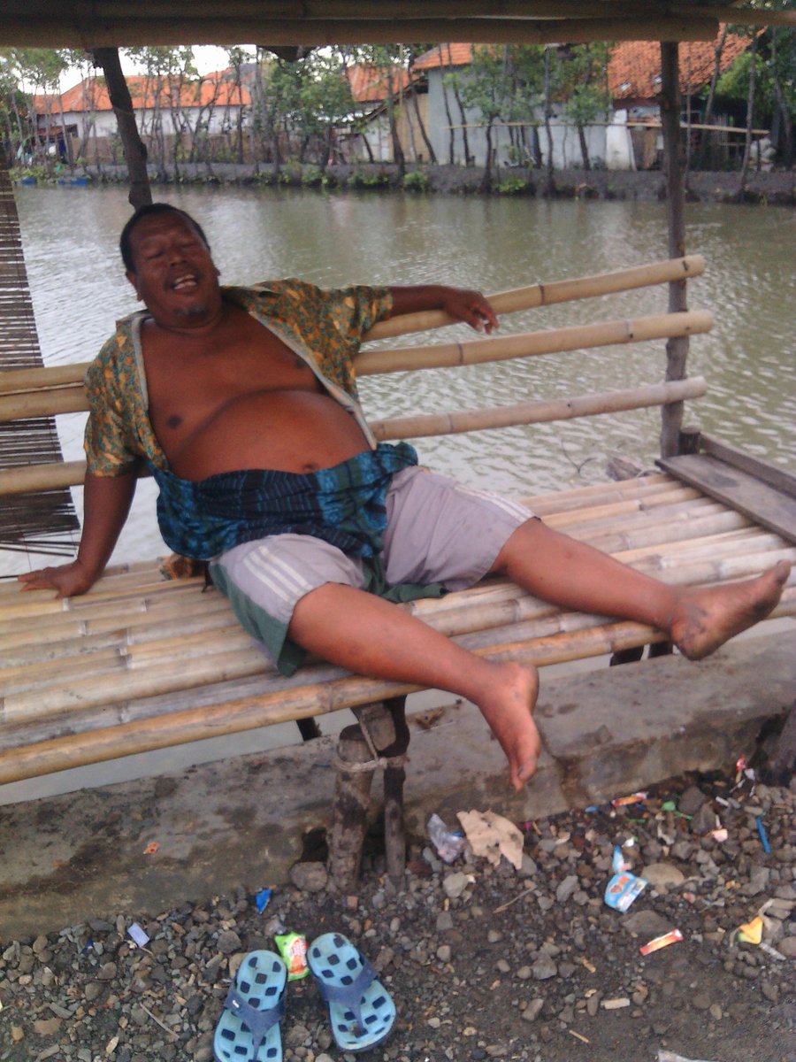 Rienhardian's tweet photo. Pingin jadi petani sukses? Ini dia cupang nya papilloma soedarmo hahaha mang karyo https://t.co/UvojkUcEXG