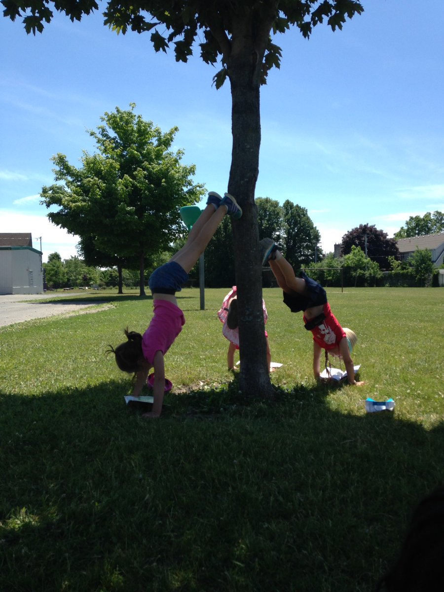 sandramfragoso's tweet photo. Sometimes we like to read while we practice doing a handstand...@sttm17 https://t.co/pLAPyEydQr