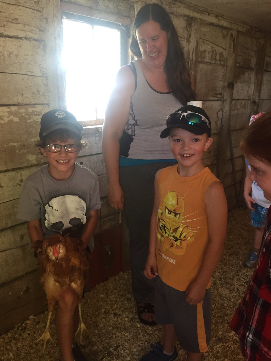 missscharnatta's tweet photo. Catching chickens on our field trip ! https://t.co/TK0ac9LxOO