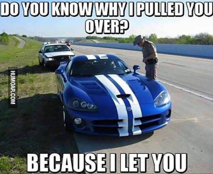 BellpackL's tweet image. 