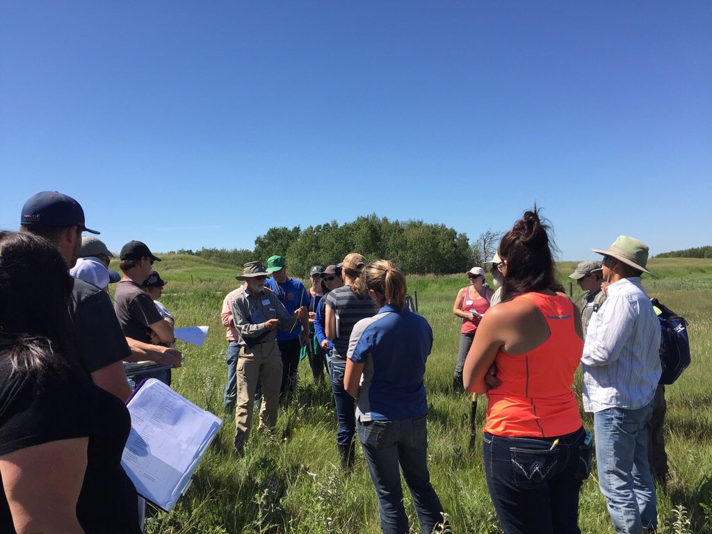 saskforage's tweet image. Participants learn how to categorize #wetlands at #ForagesInTheField at Kisbey.