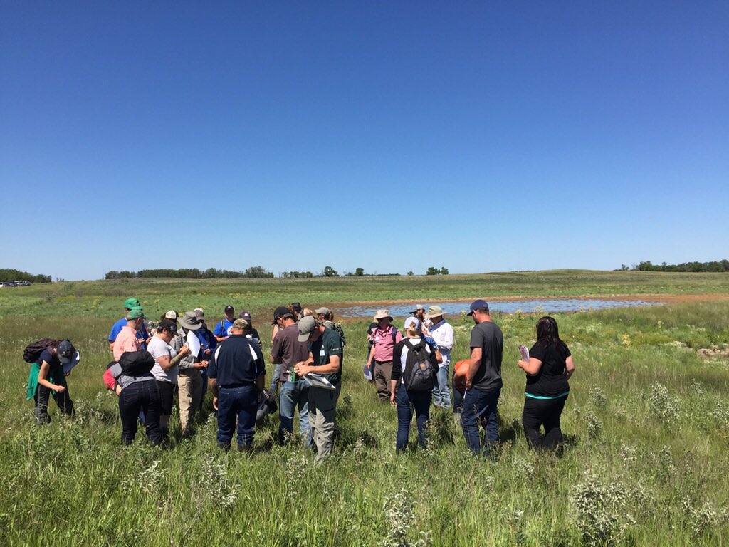 saskforage's tweet image. Participants learn how to categorize #wetlands at #ForagesInTheField at Kisbey.