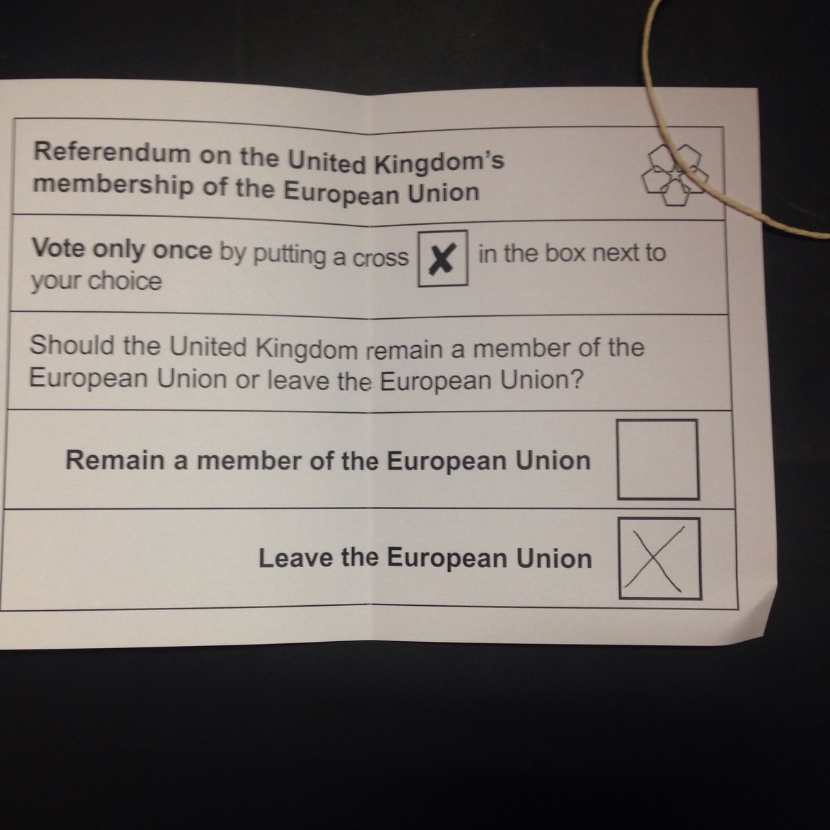 daniel_millo22's tweet photo. I hope this vote isn't in vain #LeaveEU #GetOutOfTheMess https://t.co/HqP7Er7uYX