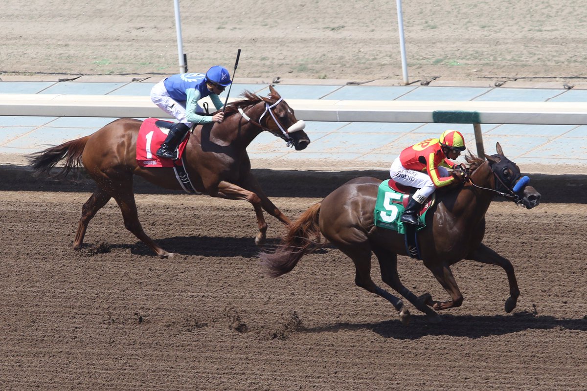 SAPublicity's tweet photo. Rafael Bejarano sweeps the early double taking race 2 aboard Fantasy of Luck @santaanitapark. (Order - #5,1,2,3) https://t.co/dmlexuyvRq