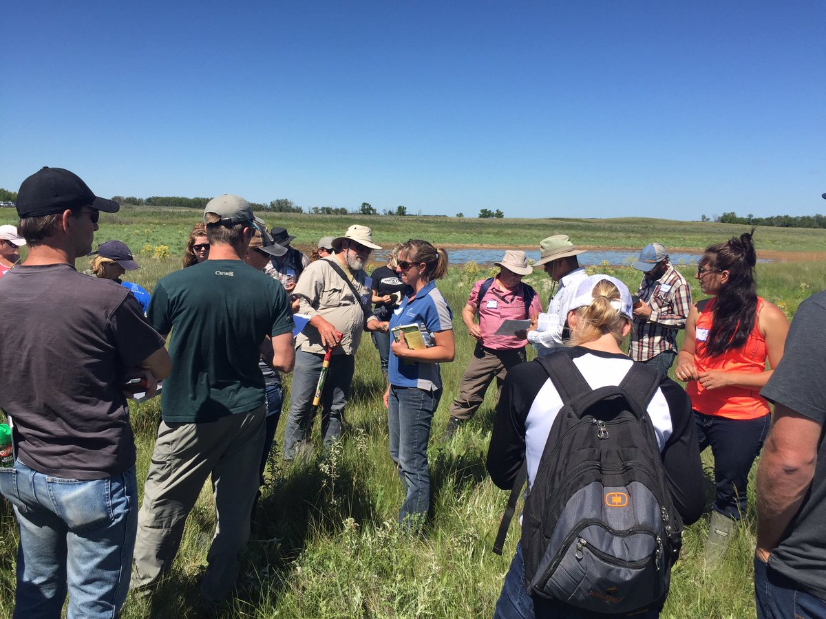 saskforage's tweet image. A great day for #plantID, #wetland classification and networking at #ForagesInTheField!