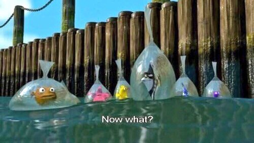 Emily Ruddy (@emilyruddy_) | Twitter