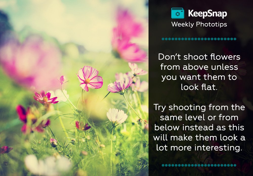 Learning new #photography #lifehacks with us is fun. Improve and help others grow by sharing your tips in comments!