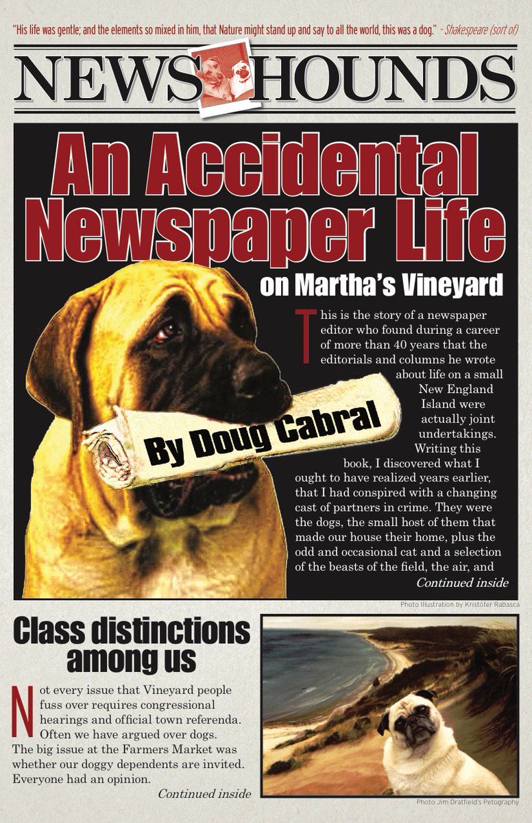 dacmvt's tweet image. Look for News Hounds, coming soon, the story of how the animals got me into this.