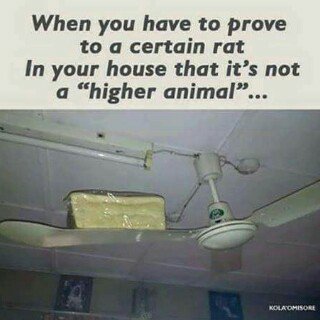 teecantell's tweet photo. #SlimTrader #PeteEdochie #UmehWrites https://t.co/axgaD0NwqP