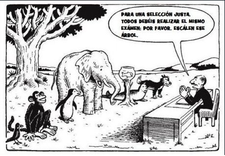 jesmyc's tweet photo. @albertina_navas +100  No todos tienen las mismas habilidades.#FUNgt https://t.co/qPlsDJVl6m