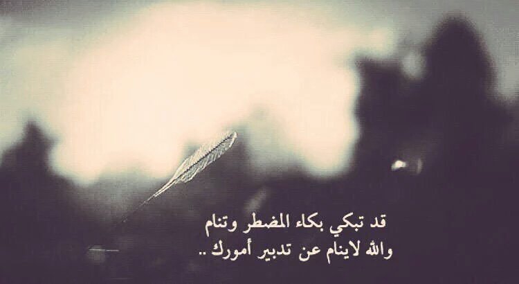 لك مثل مافعلت يوما (@asd5v34535) on Twitter photo 