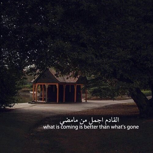 لك مثل مافعلت يوما (@asd5v34535) on Twitter photo 