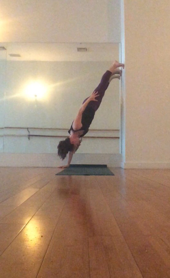 ArielleRoseYoga's tweet photo. Mantra: focus on what I can do, not what I can't! #shoulderinjury #ACseparation #yoga #strengthen https://t.co/BX6bGR4iWF