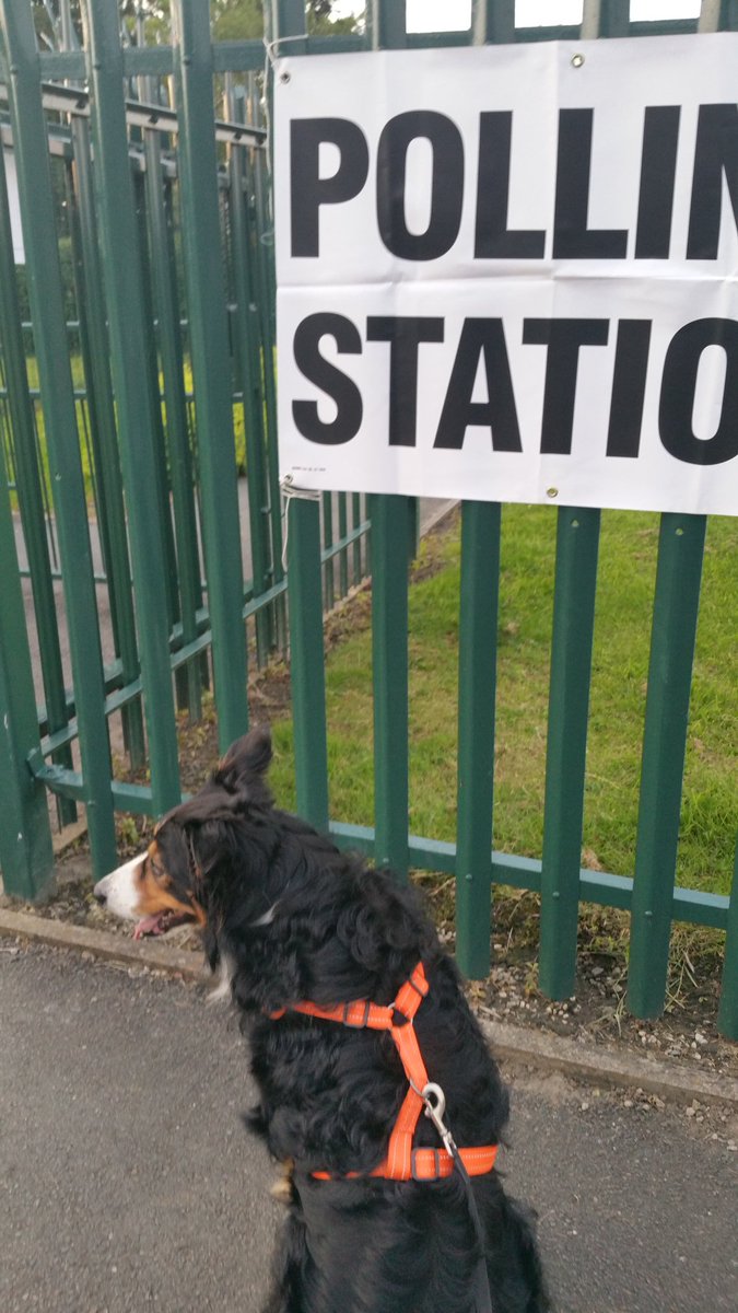 erronous's tweet photo. #dogsatpollingstations 🐶 https://t.co/5FzuxEjIJJ