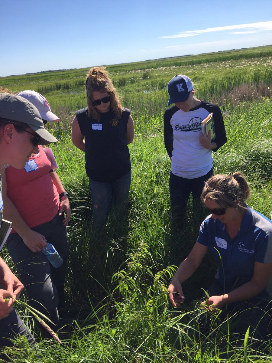 saskforage's tweet image. Thanks to everyone for coming out today, it was a great #ForagesInTheField workshop!!! #westcdnag #haychat #forage