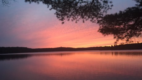 CBCToronto's tweet photo. Destination Muskoka: $1.5M plan could lead to direct flights from U.S.  https://t.co/QqjXMJhqIE https://t.co/Pqpnp2ugQx