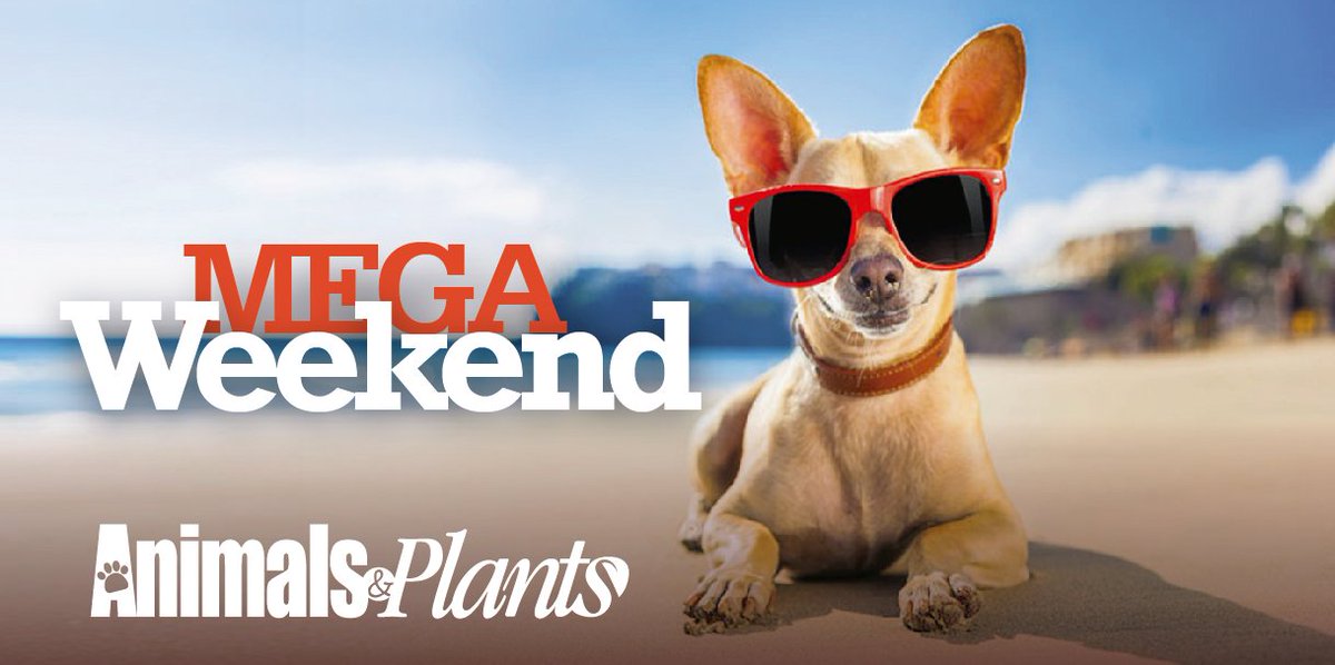 ¿Están listos para este Mega Weekend?
#AnimalsAndPlants #AmigosConPatas