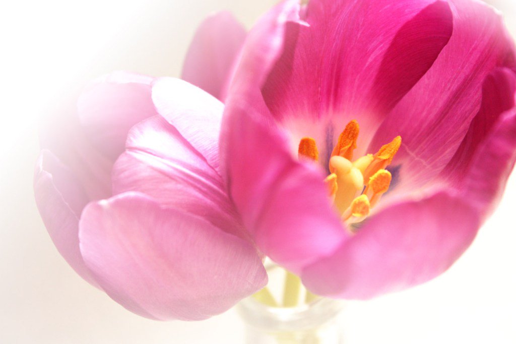 BBCInspires's tweet photo. Don’t Let The Greatest Treasure Pass By https://t.co/1Cjku5UvVv https://t.co/EW7dhBuSw6