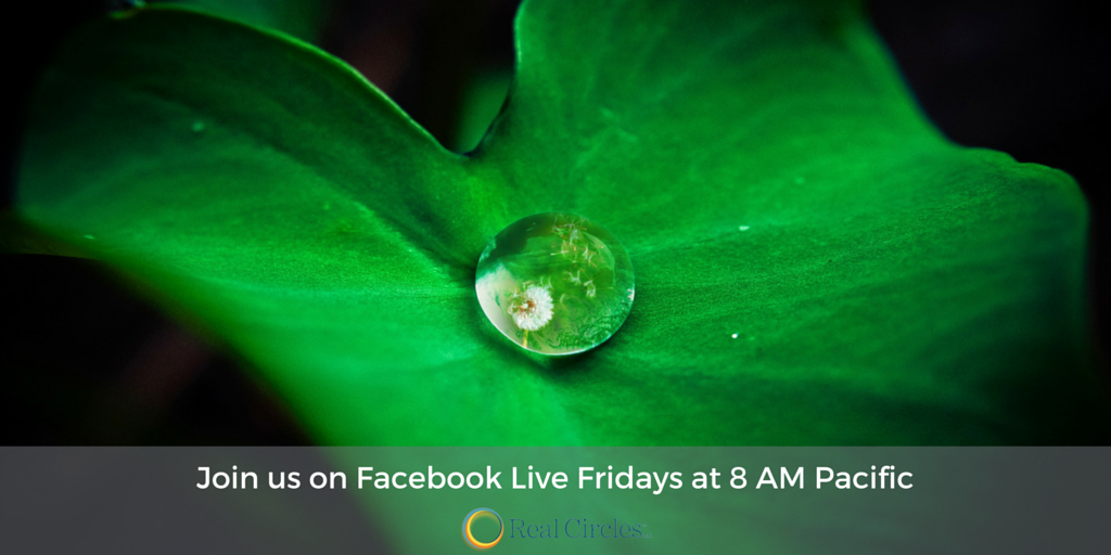 bethknost's tweet photo. Tomorrow, please join me on Facebook Live, at 8am Pacific, for a look into effective video marketing for you. https://t.co/N38Zb5G9Ej