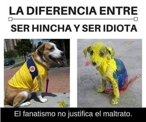 Animalesmsjs's tweet image. — La estupidez humana no tiene límites. 🐶💔😡
— #NoAlMaltratoAnimal