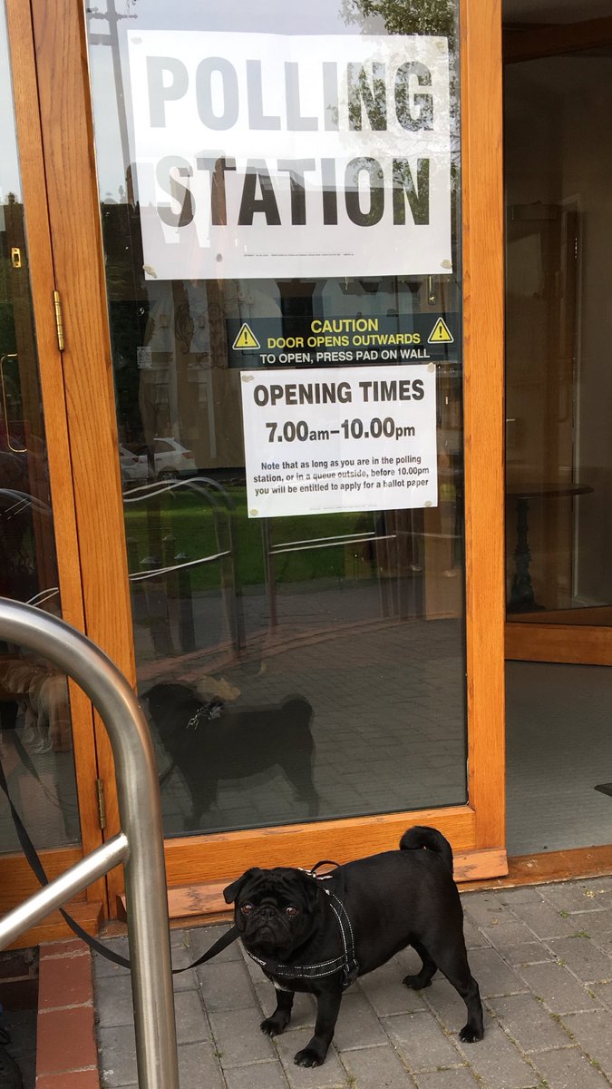 TinaMirley's tweet photo. Voted #dogsatpollingstations https://t.co/wK9nm1Eoyy
