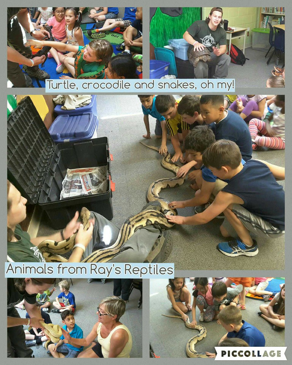 MrsMasonOCSB's tweet photo. More pics from @raysreptiles.  V.P. Mrs. Dilabio bravely touched the snake. 😊
#anneocsb https://t.co/KVHQ0iQU30