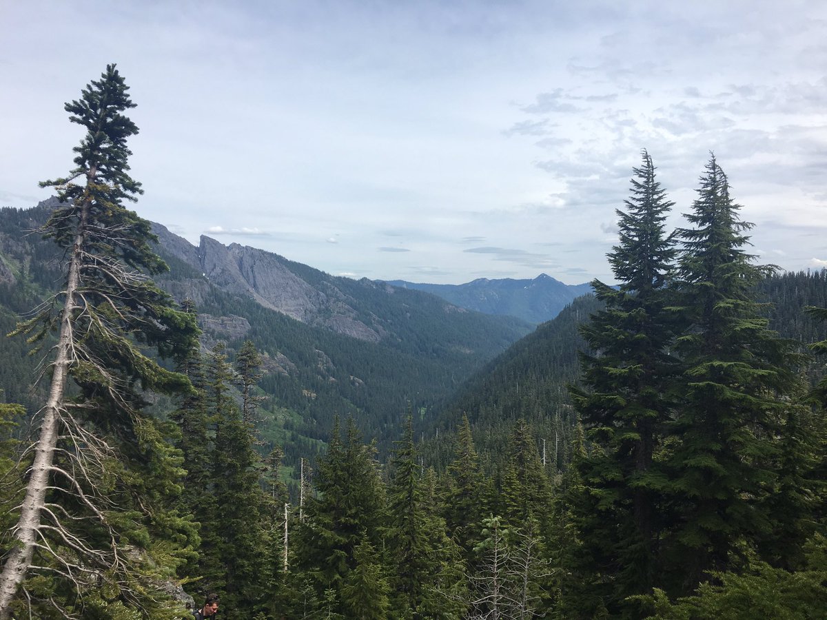 dominique_gua's tweet photo. Went on the most amazing hike with my guy #rachellake #hesprettygoodattakingpics https://t.co/J4CCWAv7wX