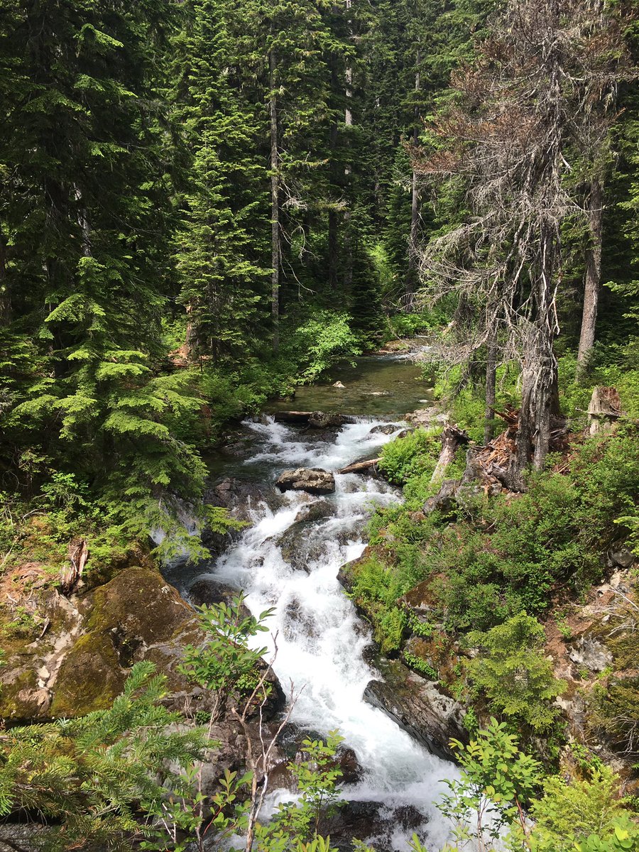 dominique_gua's tweet photo. Went on the most amazing hike with my guy #rachellake #hesprettygoodattakingpics https://t.co/J4CCWAv7wX