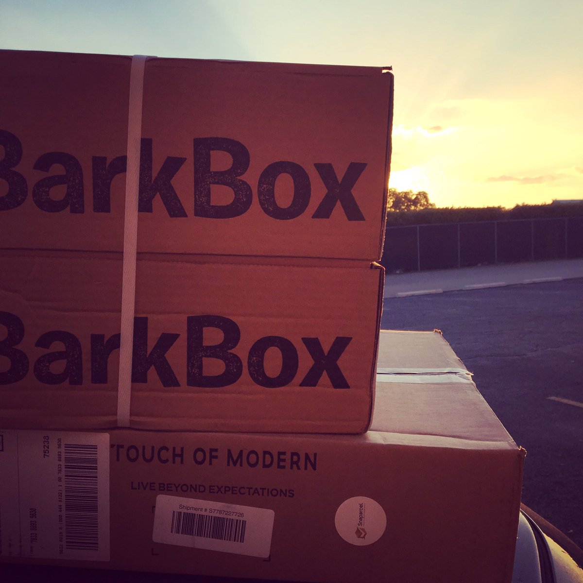 Snaparcel1's tweet photo. Great evening to receive your #doggie's #treats! #BarkBox @barkbox #amazon #apts #apartments #packages #ups #pets https://t.co/9kb0925gih