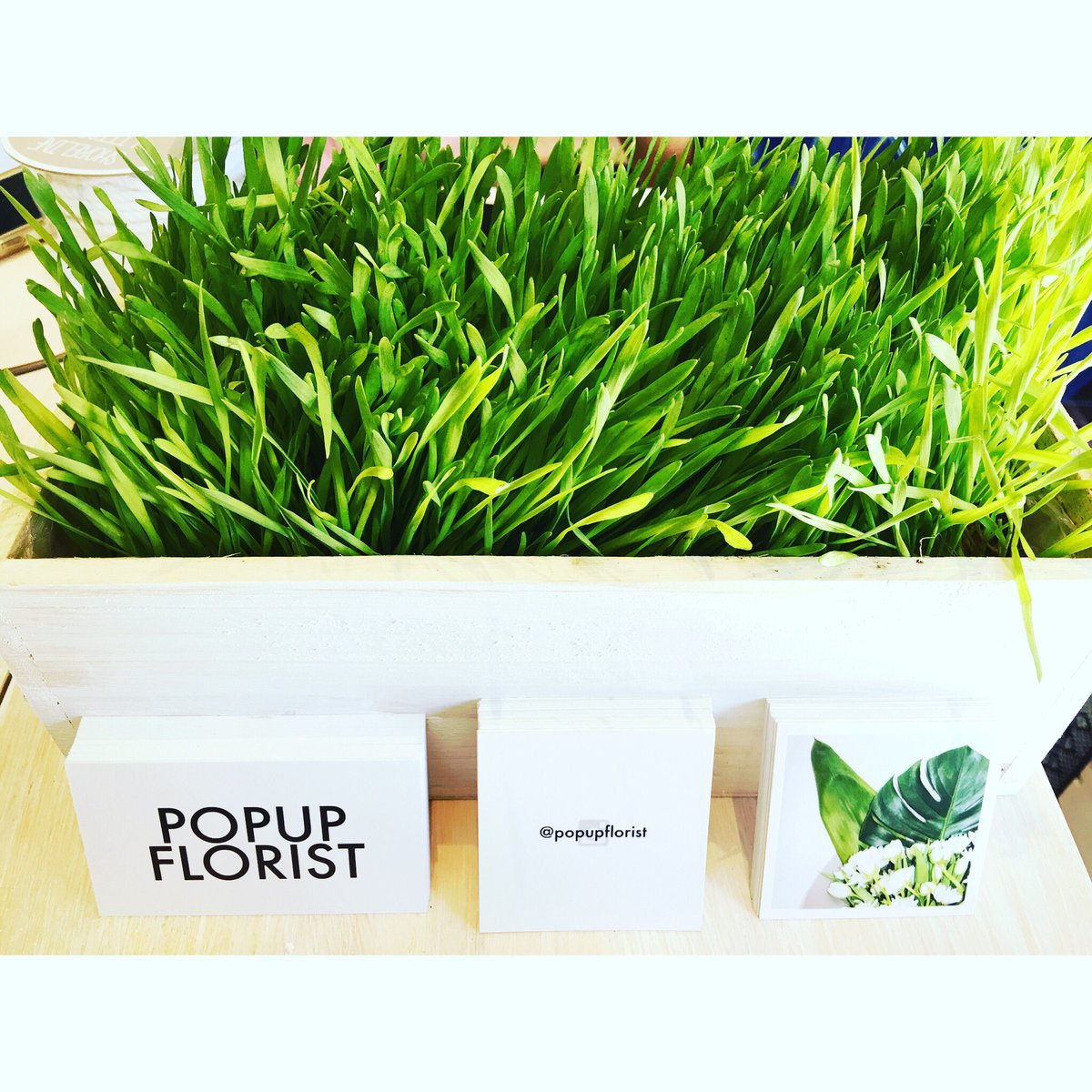 The Pop Up Florist <a href="/GansMarket/">Gansevoort Market</a>! #openingweek #flowers #bouquets <a href="/MeatpackingNY/">Meatpacking District</a> #newandnoteworthy