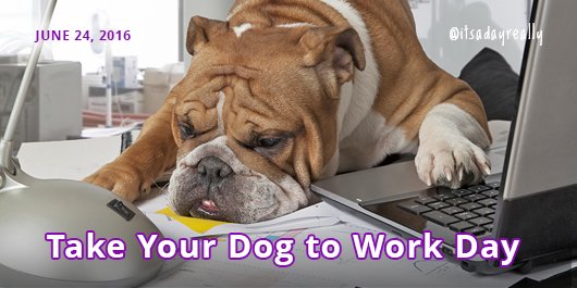 Take your pooch to the office Friday #takeyourdogtoworkday