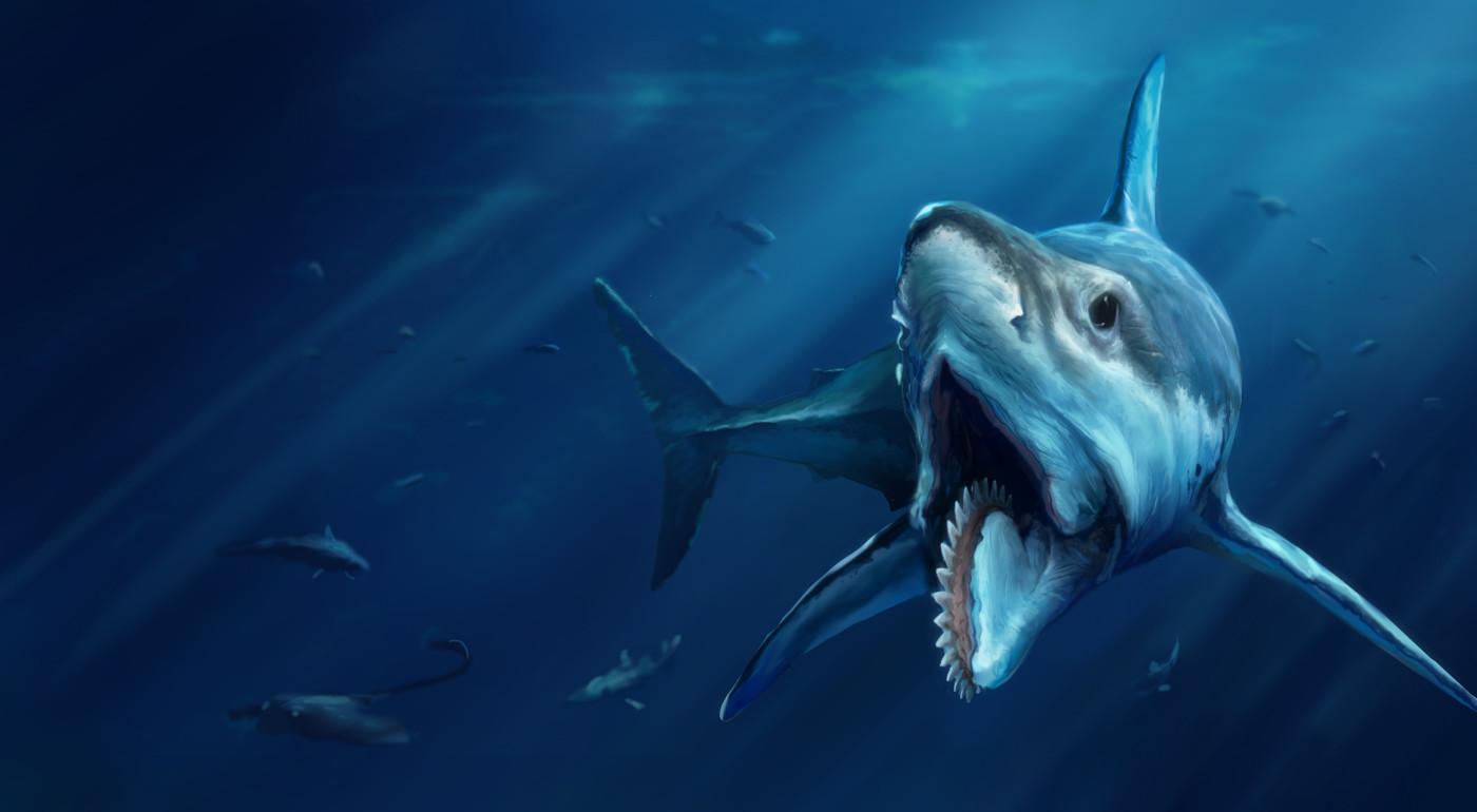 Discovery The Helicoprion Was One Strange And Vicious Prehistroic Shark T Co Q6qwbjxhjz T Co Ex2y4ct2ym Twitter