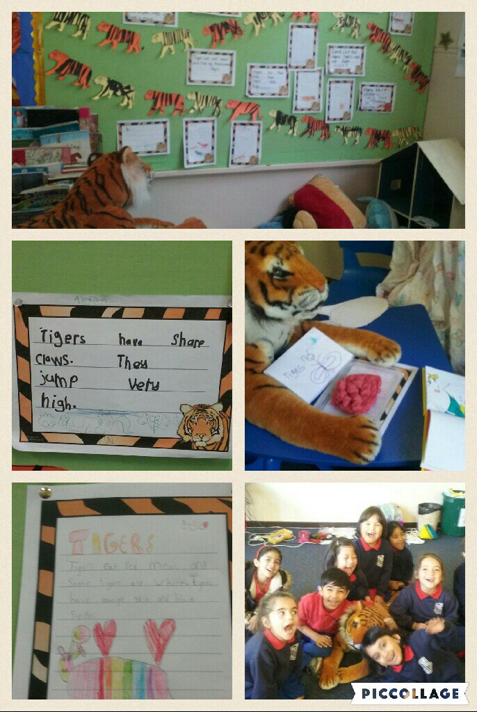 1/KZ's special visitor has been kept very busy this week - he's been read to, fed and written about. <a href="/AuburnNthPS/">Auburn North PS</a>