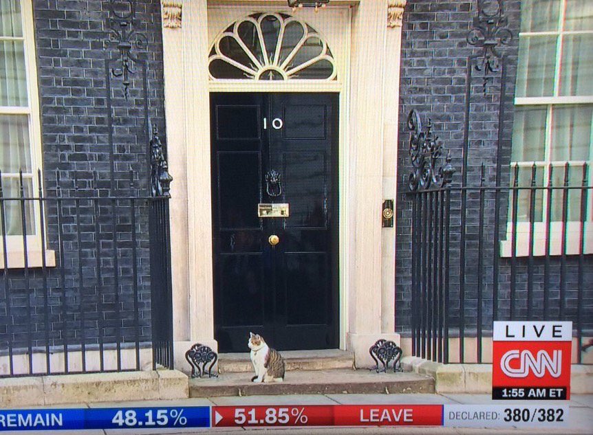 Nathalie Vincent tweet media