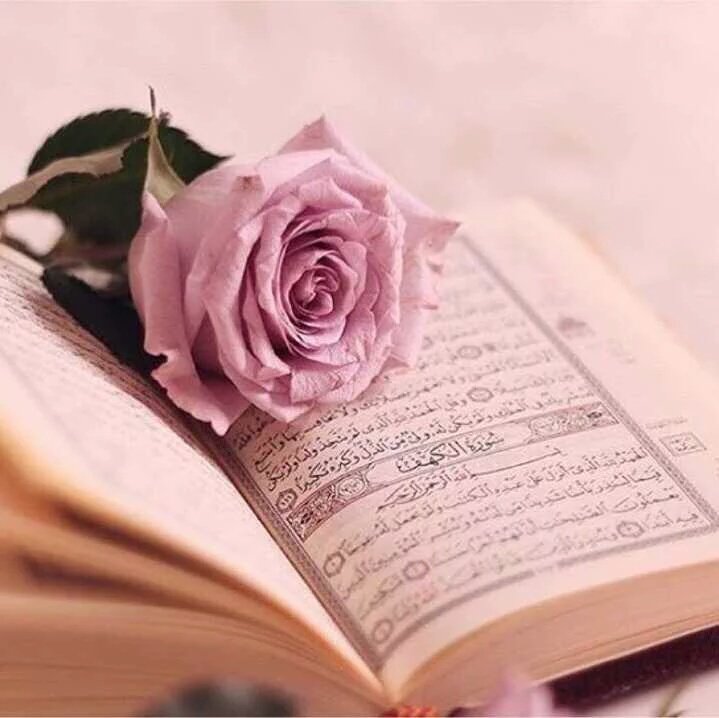 عبودي (@abod_i22) on Twitter photo 