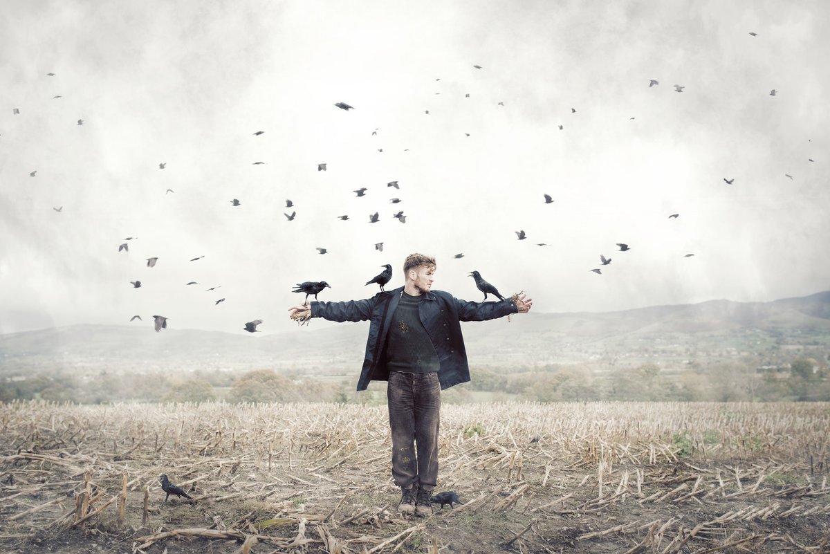 İnsan zekasıyla değil, kalbiyle uçmayı öğrenebilir.

Tarık Tufan