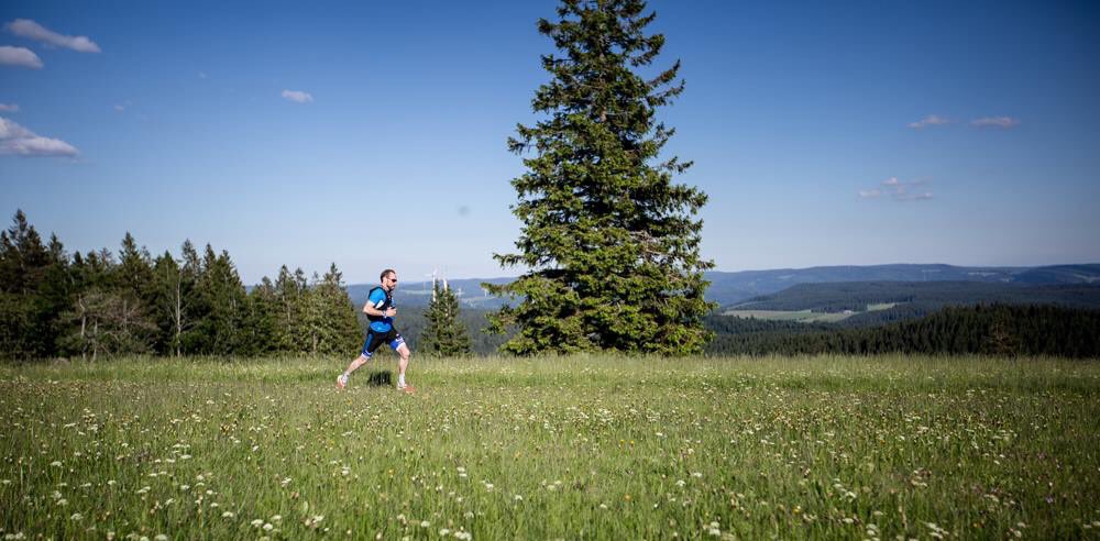 VitaminBerge tweet media