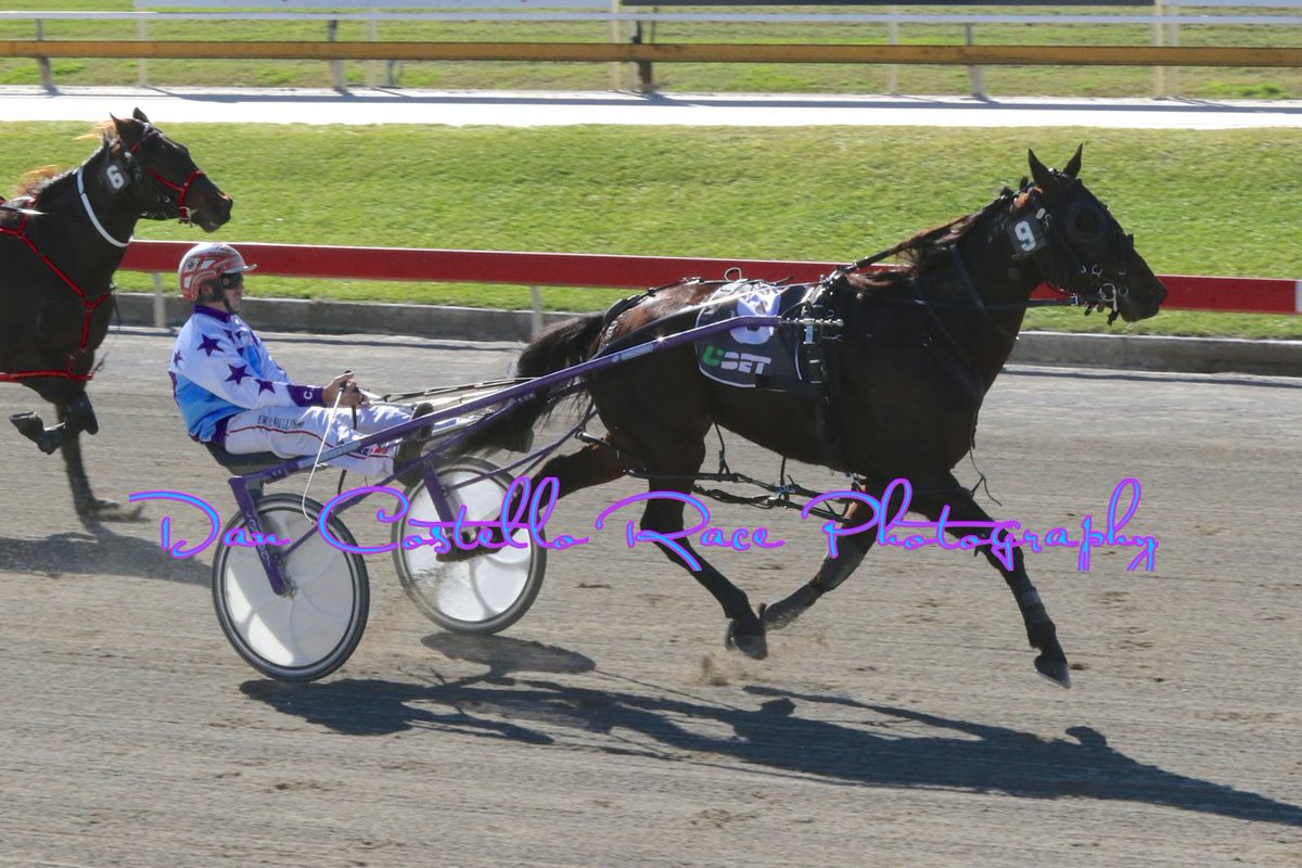 Dan Costello (@danracingwrap) on Twitter photo Only In Rome makes it 3 in a row @AlbionParkHRC with <a href="/McmullenPeter/">peter mcmullen</a> winning R2 for <a href="/turpinmcmullen/">TurpinMcMullenRacing</a> Only In Rome makes it 3 in a row @AlbionParkHRC with <a href="/McmullenPeter/">peter mcmullen</a> winning R2 for <a href="/turpinmcmullen/">TurpinMcMullenRacing</a>