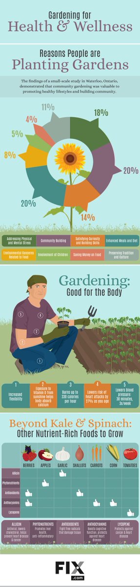 AGCofCA's tweet photo. Gardening for Health and Wellness [Infographic] | AGC https://t.co/kDrzZBMjj9 https://t.co/zLQlKtjAoC