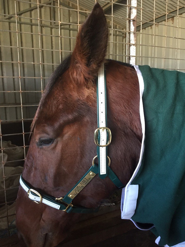 Chris Barsby tweet media