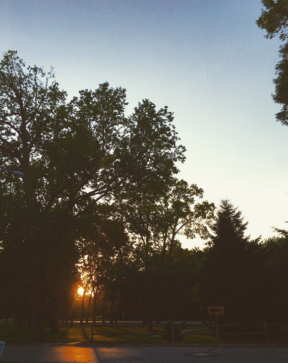 baraCLObama's tweet image. How to disappear completely and never be found