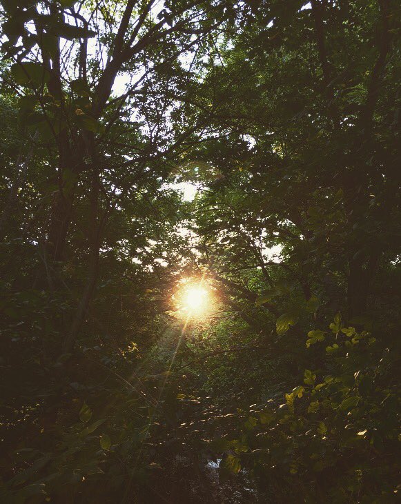 baraCLObama's tweet image. How to disappear completely and never be found