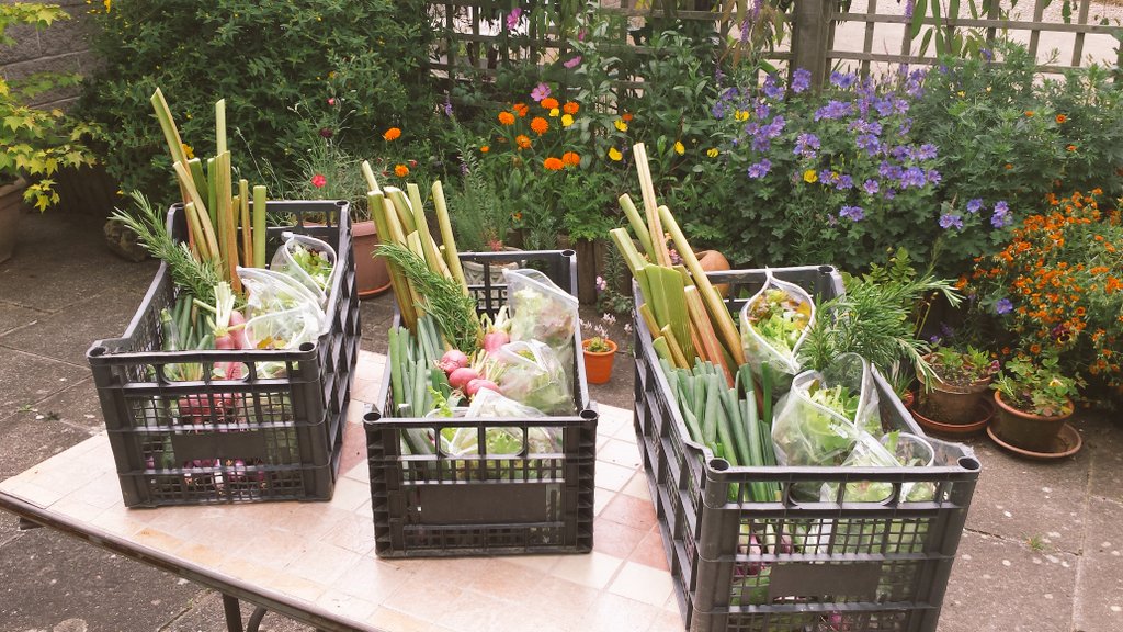 thevegpatch1's tweet photo. Hi @thevegpatch #farmtofork in less than four hours. That's fresh. https://t.co/fNk9RmLSq6