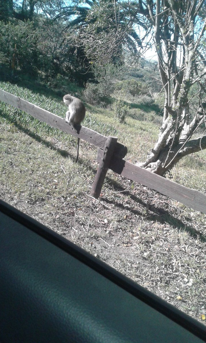 kaayteeK's tweet image. My last meeting here aish these guys are not  a walk in the park #nationParks