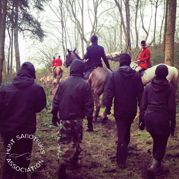 HuntSabs's tweet photo. Hunt Saboteurs are the last line of defence for hunted wildlife #JoinSabDonate #GetInvolved
https://t.co/mYjqZRr0xm https://t.co/NK6gYUWROc