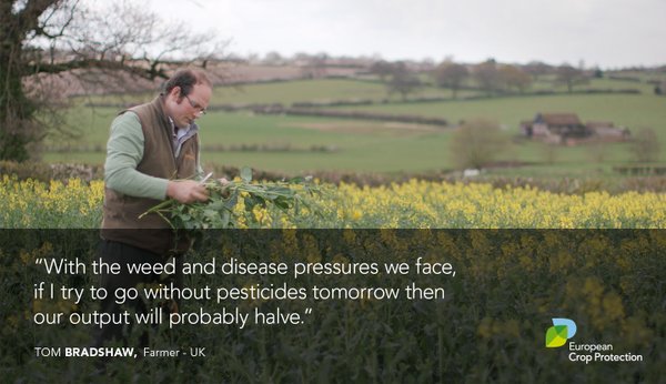 POLL: Should the EU's extension of the Glyphosate license be stopped? Clt4dbFWQAMDEcZ