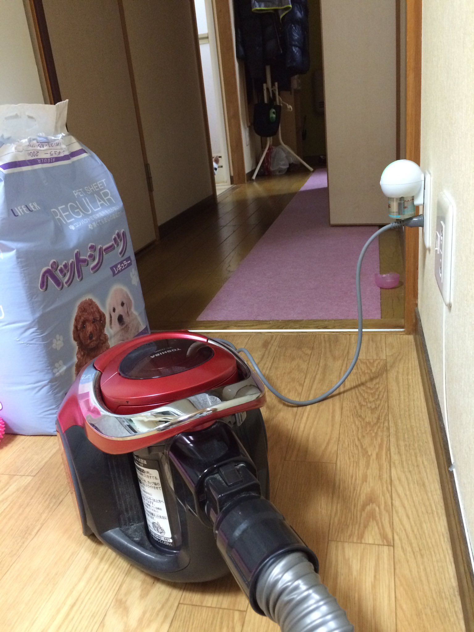 掃除機が怖い - البحث / X